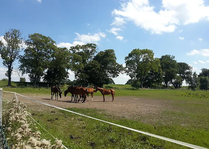 Kliper Bed & Breakfast